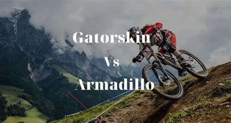 Gatorskin Tires Vs Armadillo: Which Is Better - Beau Turner Youth Conservation Center