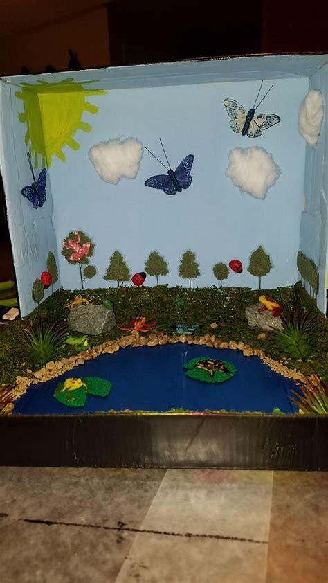 My 4 year old's Shoe box Frog Habitat Diorama | Diorama kids, Fun projects for kids, Paper art diy