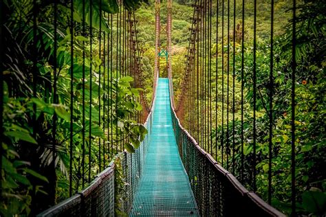 Monteverde Cloud Forest: Exclusive Travel to Costa Rica | LANDED Travel