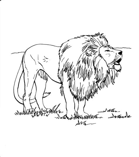 Free Printable Lion Coloring Pages For Kids