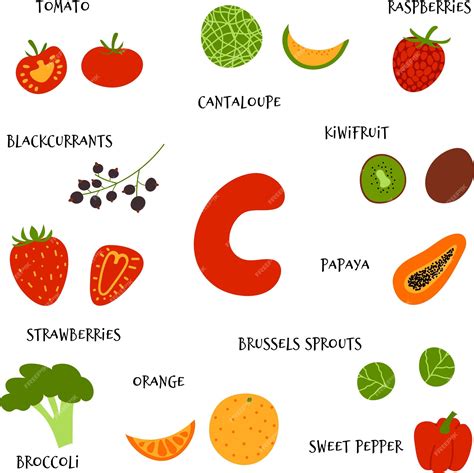 Premium Vector | Vector hand draw fruit and veggies rich in ascorbic ...