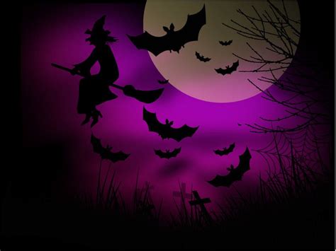 Witch Bats Halloween Night Background - Vector download | Fondo halloween, Halloween, Fondo