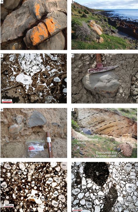 Photos a-h of the Cape Jervis measured section. | Download Scientific Diagram