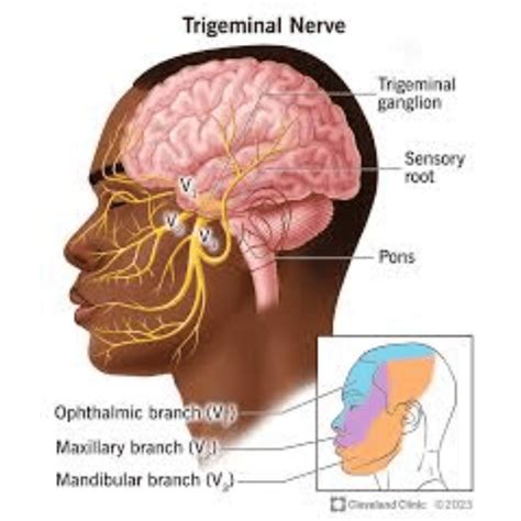 Atypical Facial Pain Treatment/ Specialist Pune- Dr Deshmukh's Pain ...