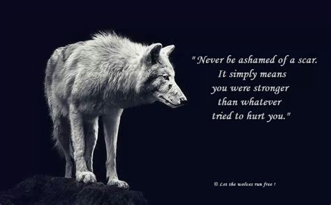 Pin by Charli on Wolves | Lone wolf quotes, Wolf quotes, Warrior quotes