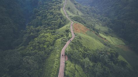 Campuhan Ridge Walk Ubud, Things Need To Know Before Visiting