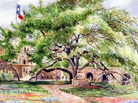 Buy Alamo History Tree Texas art print by artist Jane Mauldin