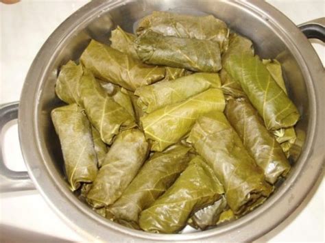 Sarma ( food) - Virily