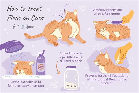 What Happens When You Apply Cat Flea Treatment To Your Dog?