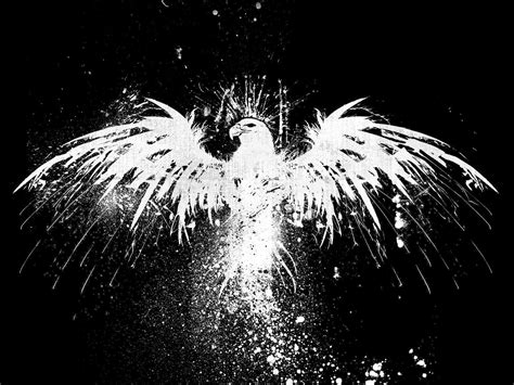 White eagle painting, eagle, monochrome, paint splatter, artwork HD ...