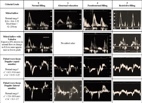 Figure 3 from Assessment and impact of diastolic function by echocardiography in elderly ...