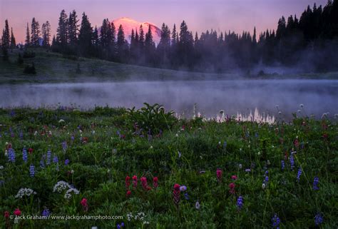 SOLD OUT! Mount Rainier National Park, Wildflowers and Landscapes, 2019 ...