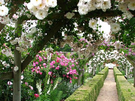 Mottisfont Abbey Gardens - Great British Gardens