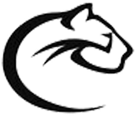 Preview: Cayuga Wildcats Football - The Messenger News