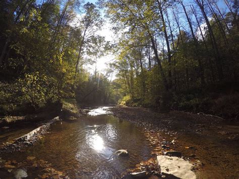 Explore Kentucky at These 6 Daniel Boone National Forest Camping Sites