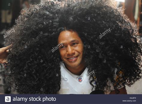 Troy Polamalu. American football player Troy Polamalu has had his Stock ...