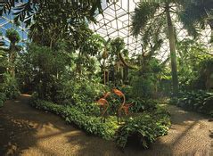 Climatron® Plants