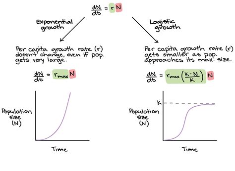 Population growth models | Exponential, Population growth, Exponential ...