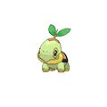 Torterra Pokédex: stats, moves, evolution & locations | Pokémon Database