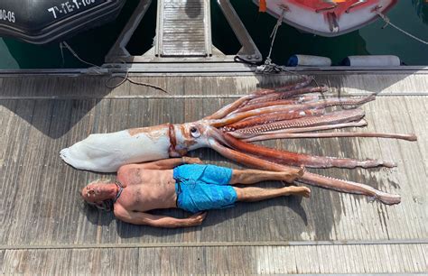 Giant Squid caught Tenerife : r/pics