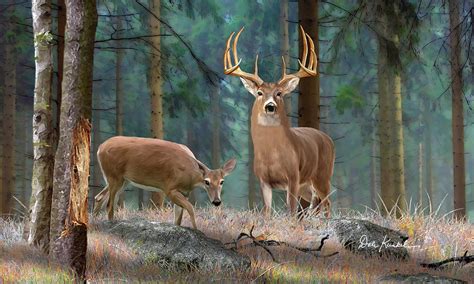 Whitetail Deer Art - Forest Deer Painting by Dale Kunkel