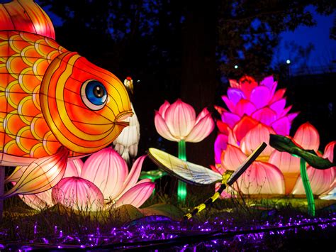 Asian Lantern Festival - Cleveland Metroparks Zoo — Caswell Visuals