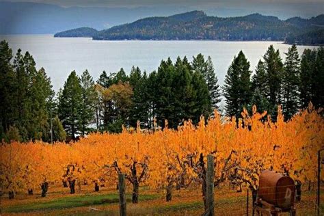 Cherry Orchard, Lakeside,MT | Flathead lake, Natural landmarks, Montana