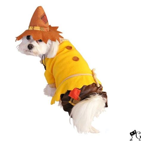 Scarecrow Dog Costume | Pet costumes, Dog costumes funny, Small dog costumes