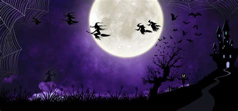 Witch Party Halloween Night Background, Jack O Lentera, Pesta Halloween, Background Background ...