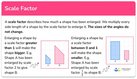 Scale Factor - GCSE Maths - Steps, Examples & Worksheet