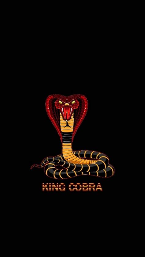 Cobra Snake, king cobra, king, cobra, snake, HD phone wallpaper | Peakpx