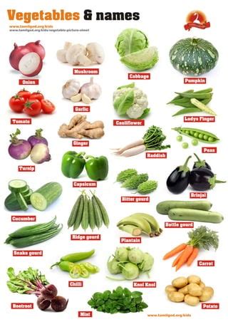 Vegetables Names In English, Hindi, Kannada, Telugu, 60% OFF