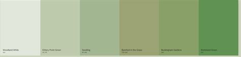 Shades Of Green Paint