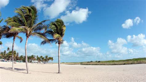 Matheson Hammock Park Beach | South Beach Magazine