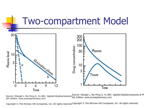 PPT - Pharmacokinetic Models PowerPoint Presentation, free download ...