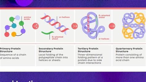 Structural Biology | Technology Networks