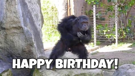 Monkey Singing Happy Birthday - Monkey Singing Happy Birthday Youtube, Free shipping on orders ...