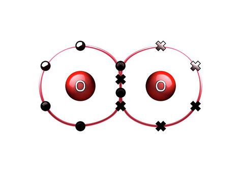 Bond Formation In Oxygen Molecule Photograph by Animate4.com/science ...