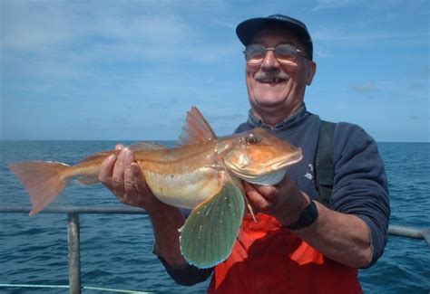 Fishing In Ireland - Angling Ireland Salt Water Fish - Gurnard Tub