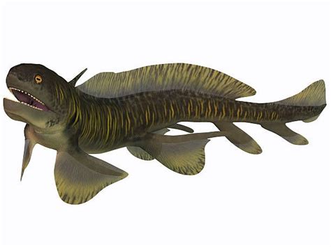 Orthacanthus was a Devonian freshwater shark that thrived in... in 2020 | Freshwater sharks ...