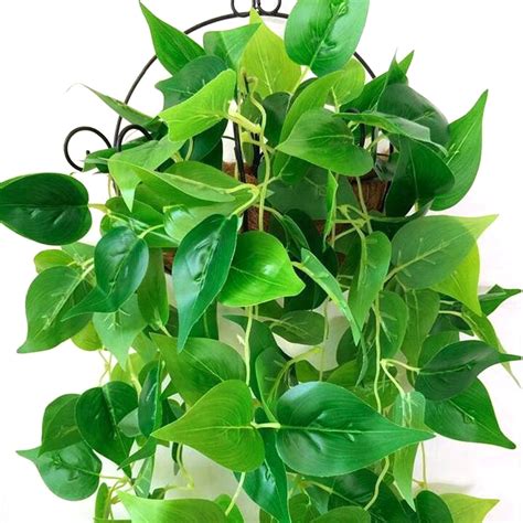 Buy 1 Pc Artificial Plants Vines Greenery Rattan Fake Hanging Plant Faux Hanging Flowers Vine ...