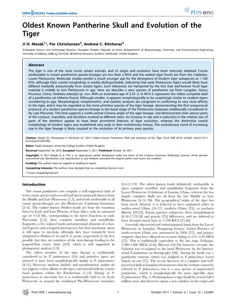 (PDF) Oldest Known Pantherine Skull and Evolution of the Tiger