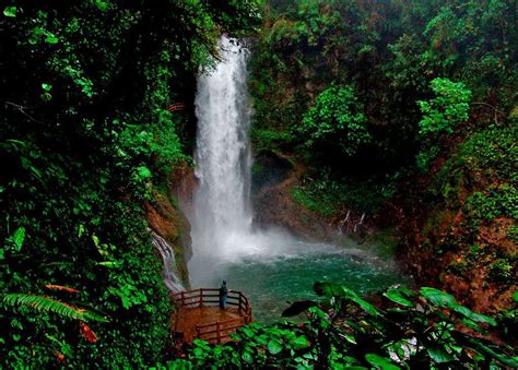 la paz waterfall gardens | La paz waterfall gardens, La paz, Waterfall