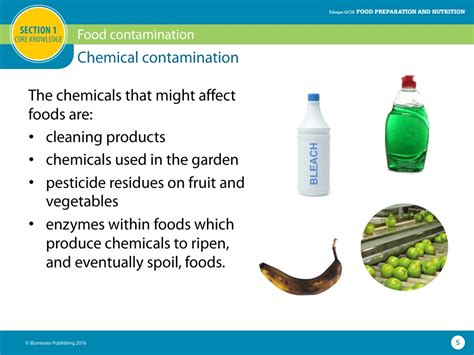 PPT - Food contamination PowerPoint Presentation, free download - ID:8842337