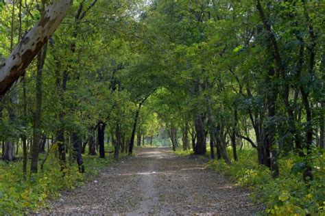 Sukhna Wildlife Sanctuary (Nepli/ Kansal Forests) - Blog