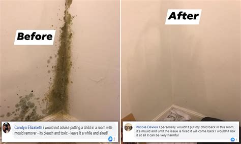 How Do I Get Rid Of Mould In My Bedroom - Bedroom Poster