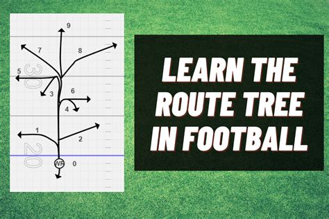 Understanding The Route Tree In Football - vIQtory Sports