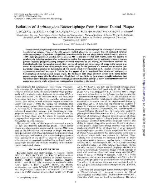 (PDF) Isolation Actinomyces Bacteriophage from Dental Plaque · Isolation of a human oral host ...