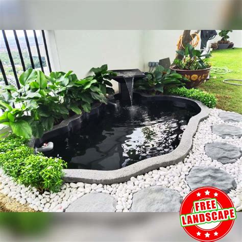 1 Day Installation | Professional Koi Fish Pond Design & System Specialist