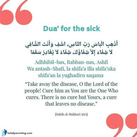 Dua For Sick Animal : Masnoon dua to be read before slaughtering the Qurbaani animal : Find ...